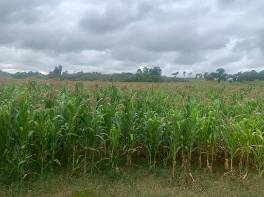 18.5 Acres For Sale In Nyahururu. image 5