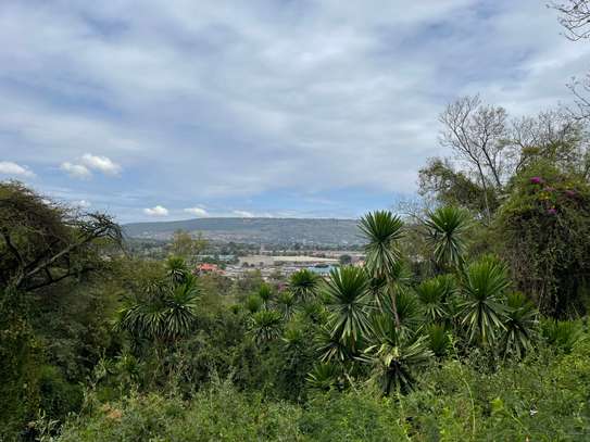 Commercial Land at Nakuru Town image 9