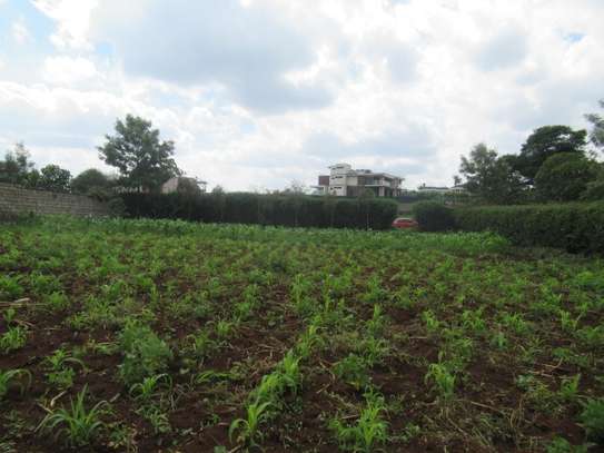 Residential Land at Muringa image 3