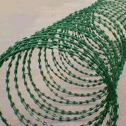 Green razor wire image 1