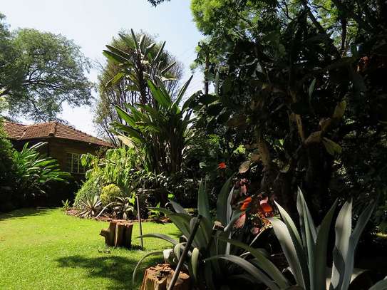 FOR SALE – PRESTIGIOUS PROPERTY LAVINGTON, NBI (0.8 ACRES) image 13