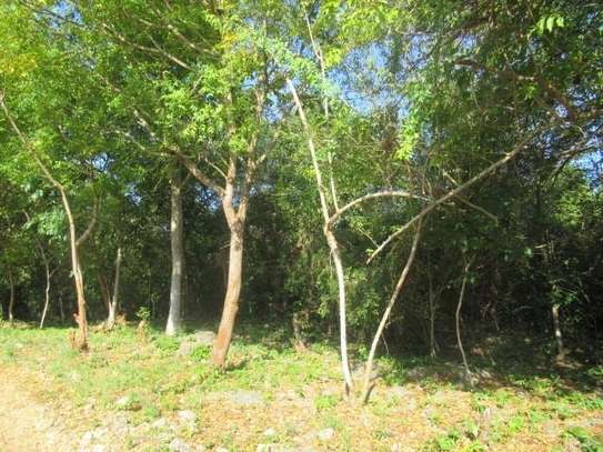 1 ac Commercial Land at Diani image 9