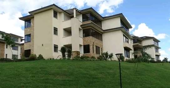 1 Bed Apartment with En Suite at Migaa image 2