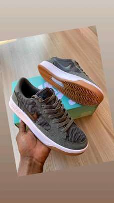 Nike sb image 2