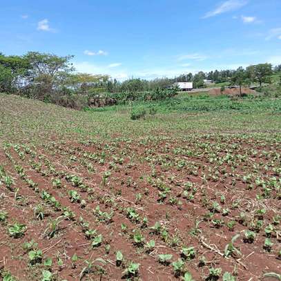 40X80ft PLOT FOR SALE AT KENOL. 100MTRS FROM HIGHWAY image 2