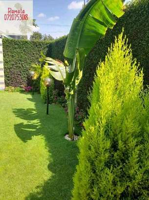 Yard and space landscaping for home and office image 4