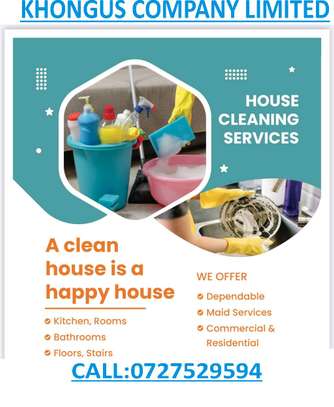 General Home Cleaning Services image 2