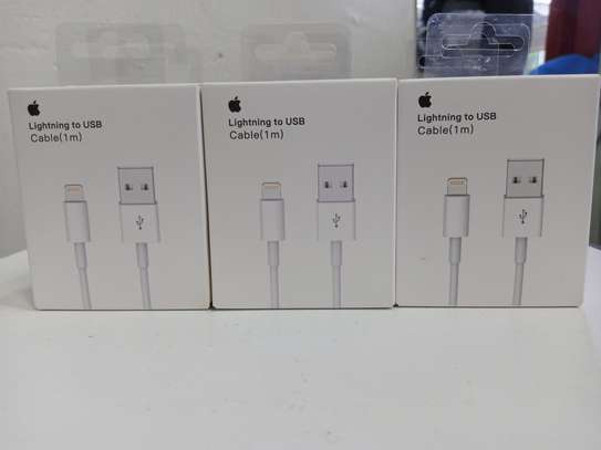 Apple Lightning To USB Cable 1 Metre image 1