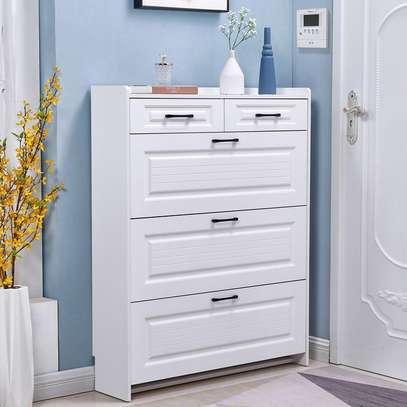 Modern Shoe Storage Cabinet image 2