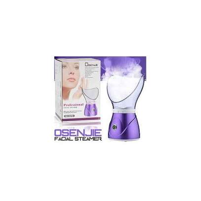 Osenjie Face Facial Steamer For Home Facial Warm Mist Humidifier image 1