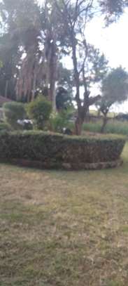 4 Bed House with En Suite in Ngong image 3