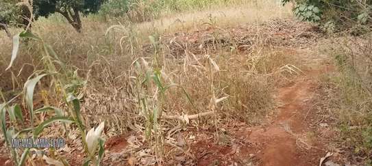 Ugweri 2acres image 3