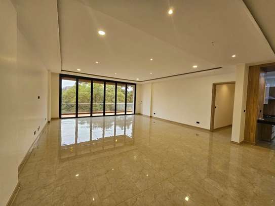4 Bed Apartment with En Suite in Spring Valley image 4