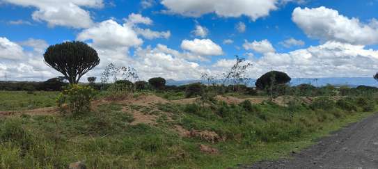 0.125 ac Land at Naivasha image 7