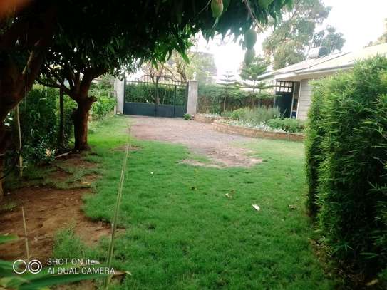 Commercial 3/4 acre plot for sale Naivasha Moi south road image 2