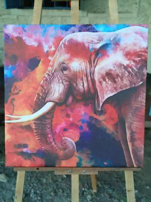 Elephant canvas print image 1