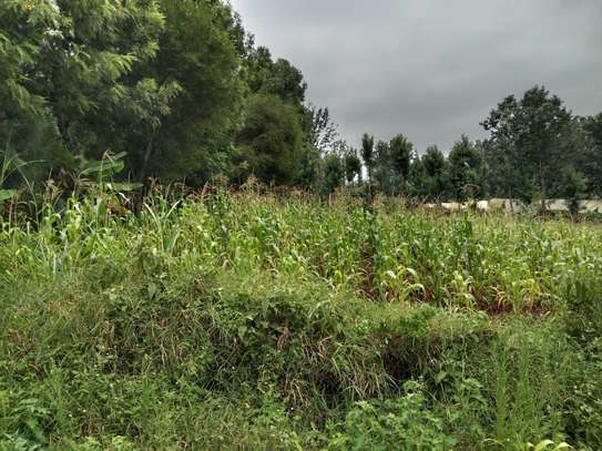 0.25 m² Residential Land at Kibiko image 8