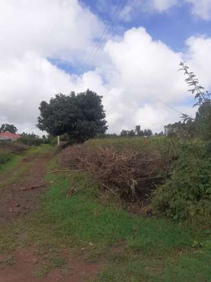 0.125 ac Residential Land in Kamangu image 2