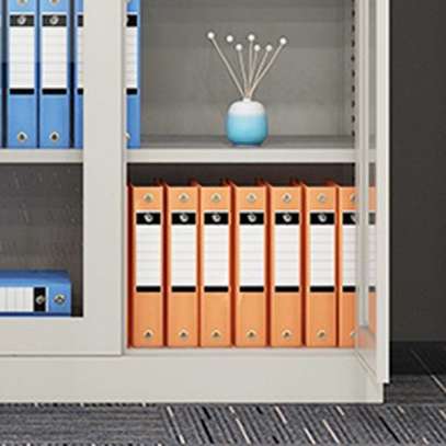 Office Cabinet: 2-Door Steel Frame Cabinet in Modern Style image 2