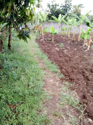 Prime 1/2 acre land for sale at Maguguni - Thika image 2