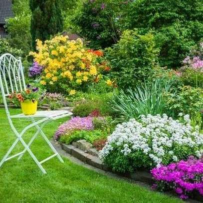 Landscaping Services in Nairobi.Low Cost Garden Maintenance image 1
