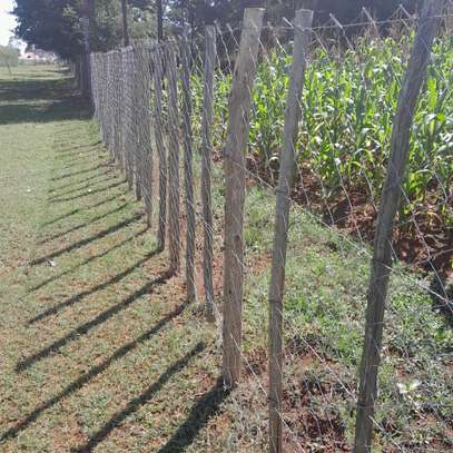 1/4 ACRE PLOT ON SALE IN RACECOURSE AIRPORT SACCO ,ELDORET image 3