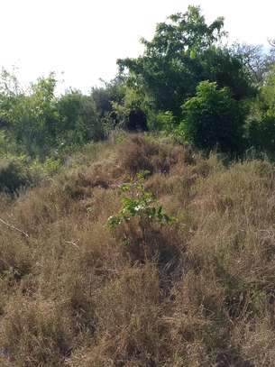 1/4 acre Land for sale in diani image 10