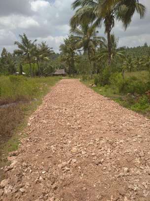 Quarter acre piece of land for sale at Vipingo-Gongoni 2477 image 10