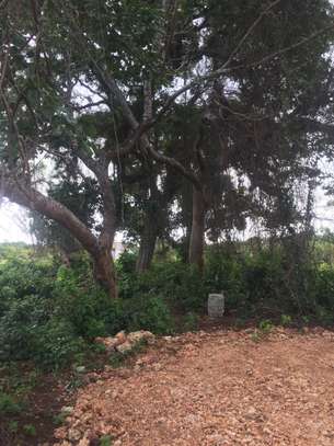 Land in Diani image 11