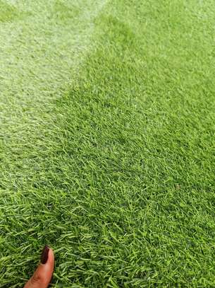 Artificial Grass Carpet 25mm image 3
