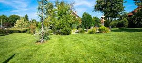 Bestcare Landscaping & Gardening Services in Nakuru,Kenya image 7