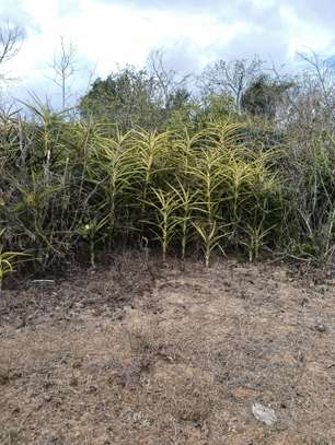 3.5 ha of land for sale at chakama phase II, Malindi image 2