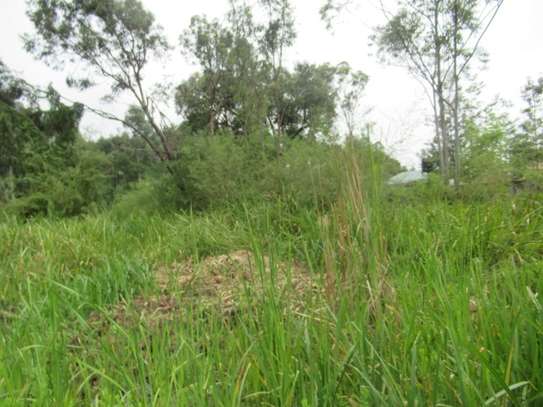 Residential Land at Ridgeways Ln image 6
