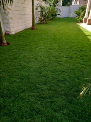 AFFORDABLE AND LOW MAINTENANCE LANDSCAPING SERVICES image 2
