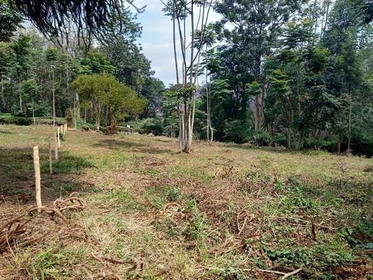 2,023 m² Residential Land at Rosslyn Lone Tree image 9