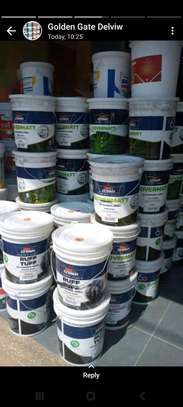 Paints supply in Nairobi image 3