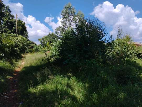 50 by 200 plot for sale in Kitisuru image 5