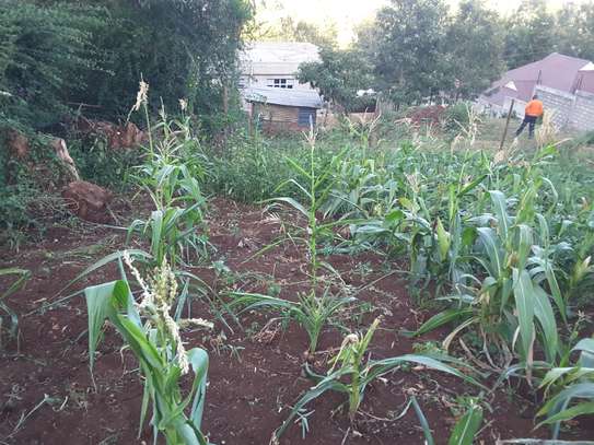 Beautiful one eighth plots in Ngong image 9