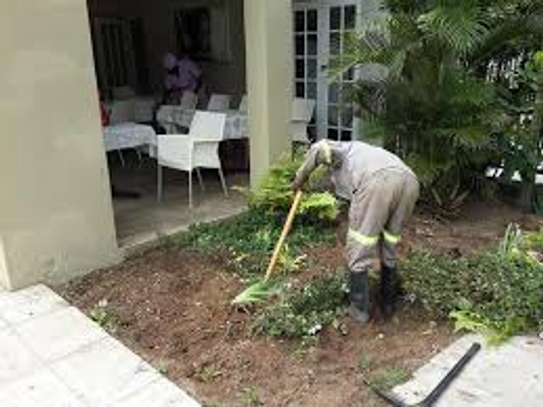 Garden Service & Landscaping - Hedge cutting services image 10