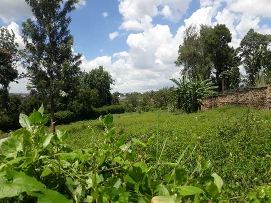 0.5 ac Residential Land in Thome image 4