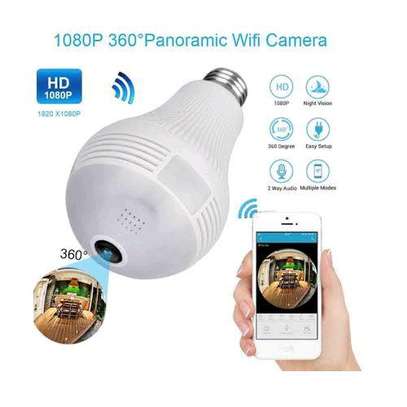 Panoramic bulb camera image 1