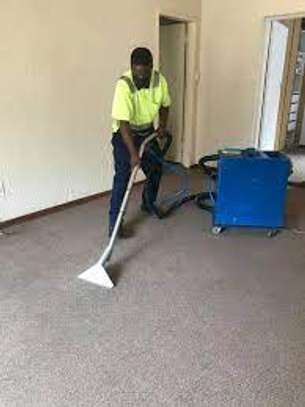 CLEANING SERVICES,FUMIGATION & PEST CONTROL KINOO image 7