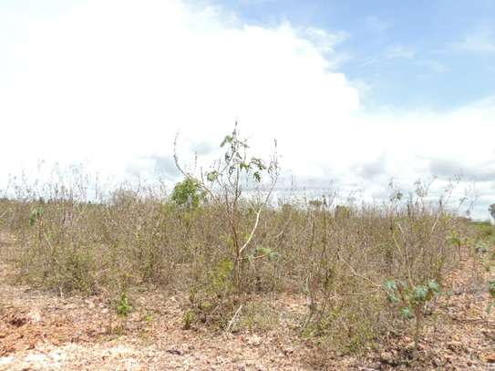 0.25 ac Residential Land at Diani Beach Road image 12