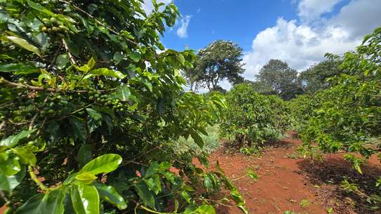 Prime residential quarter acre for sale in Kiambu road image 2