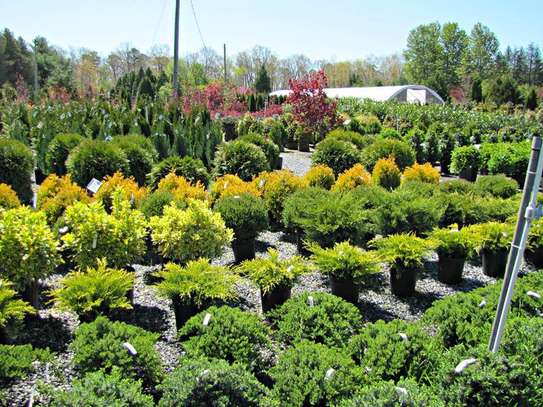 Transform Your Outdoors with Bestcare Landscaping Services image 3