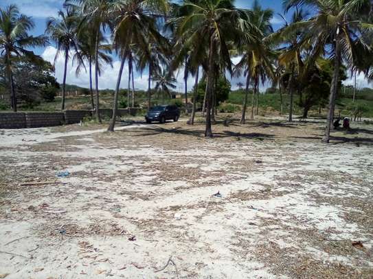 20-Acre Beach Plot For Sale in Kikambala image 5