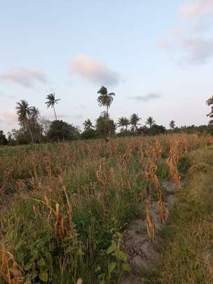 12 ac Commercial Land at Bomani Area image 3