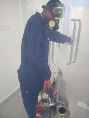 BED BUG Fumigation and Pest Control Services in Embakasi image 5