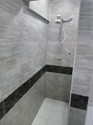 2 Bed Apartment with En Suite at Chandy Rd image 13
