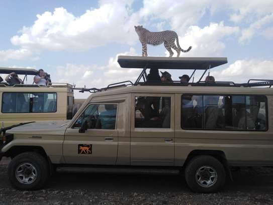 Masai Mara Transfers from Nairobi image 1